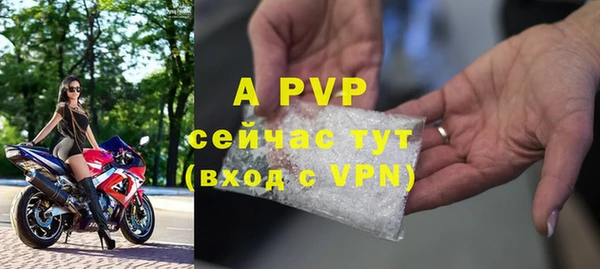 a pvp Гусев