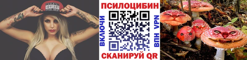 где найти   Лодейное Поле  omg ссылки  Галлюциногенные грибы Psilocybine cubensis 